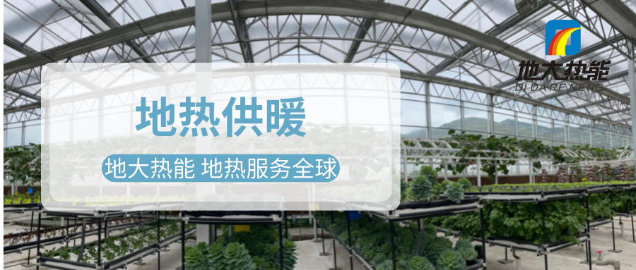 發(fā)揮地?zé)豳Y源優(yōu)勢，地?zé)徂r(nóng)業(yè)實現(xiàn)花卉產(chǎn)業(yè)特色發(fā)展 | 地大熱能 地?zé)岱?wù)全球